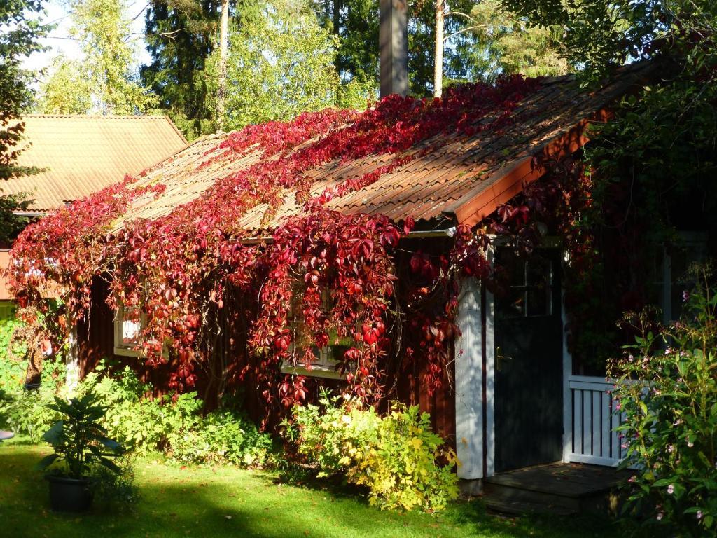 Praestmyrens Vandrarhem Ransäter Kamer foto