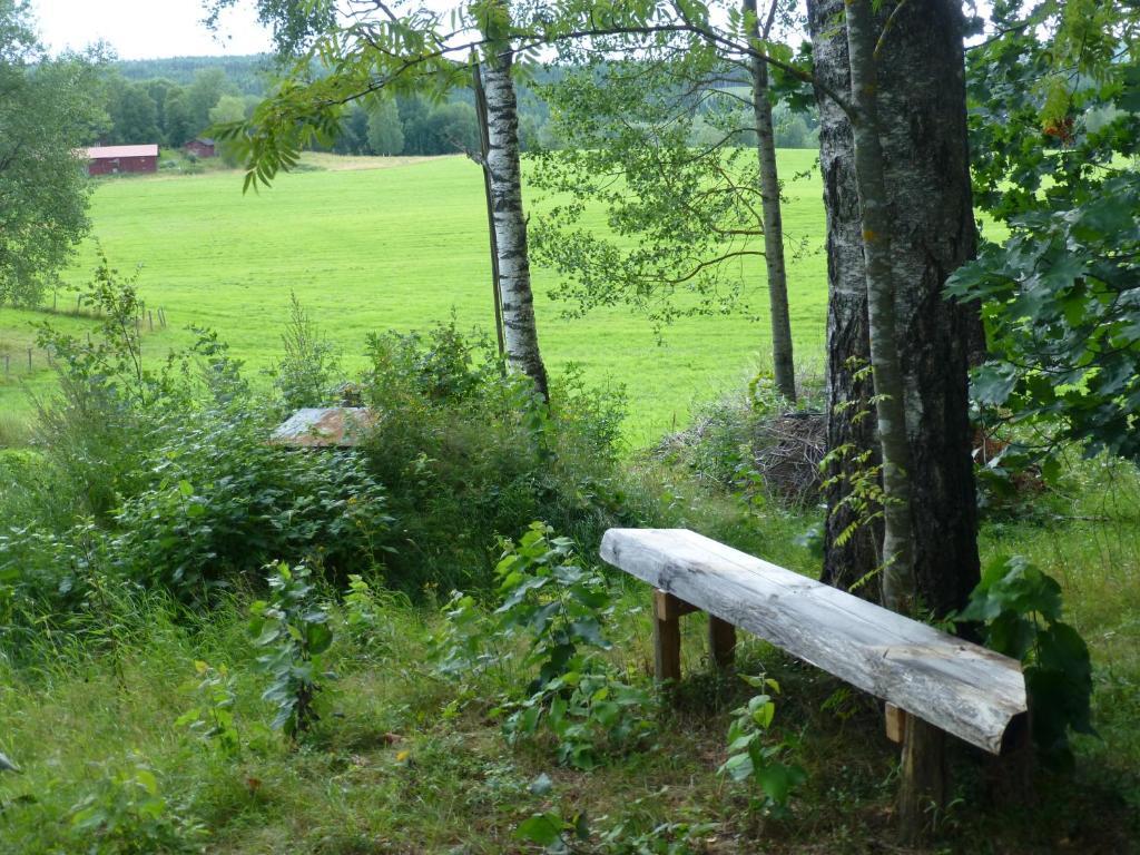 Praestmyrens Vandrarhem Ransäter Kamer foto